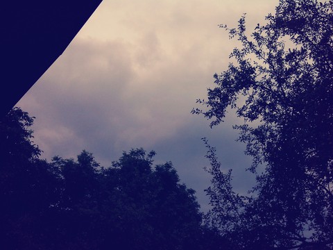 Cloudy sly