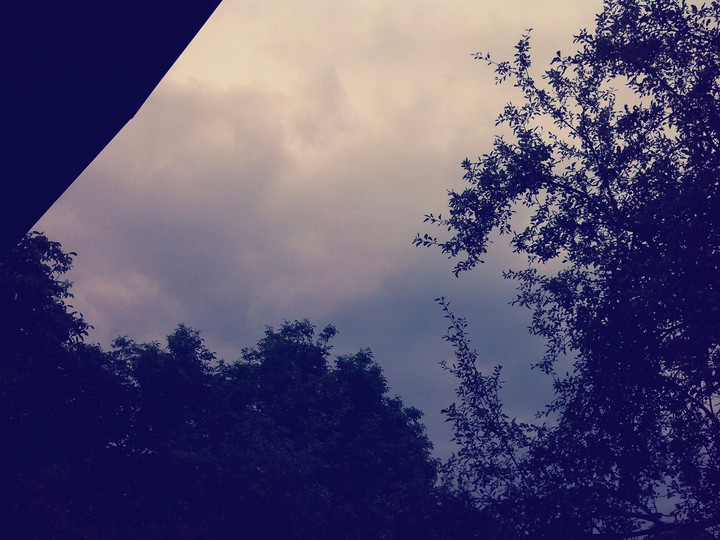 Cloudy sly