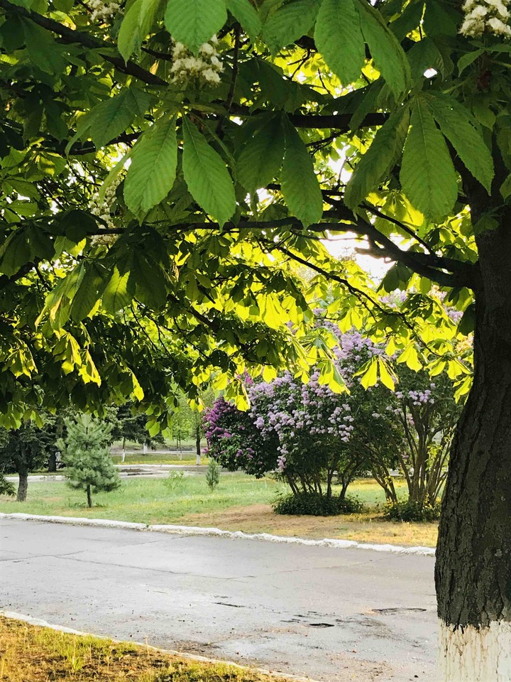 Frühling