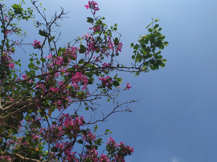 sunny day