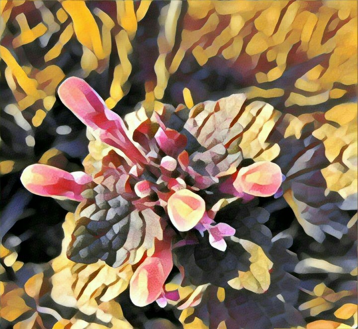 flower