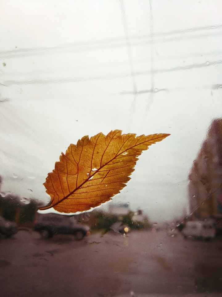 Autumn in the city