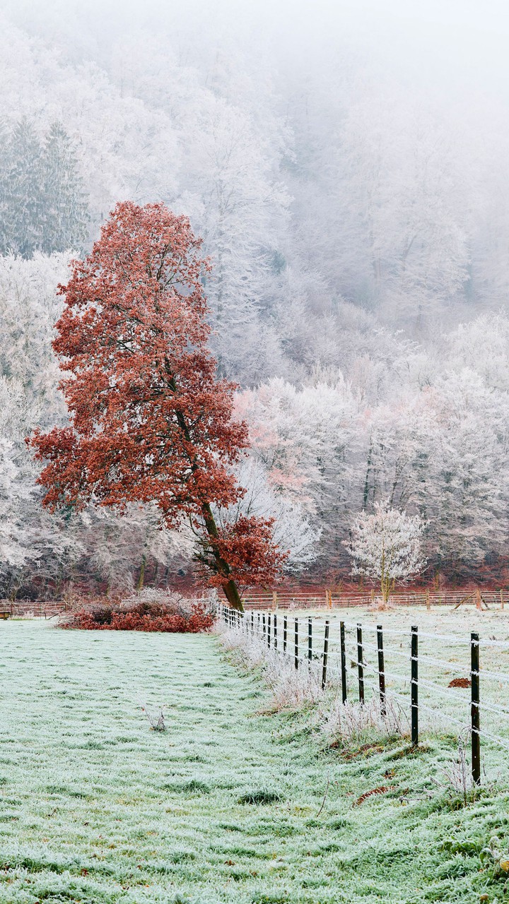 nature