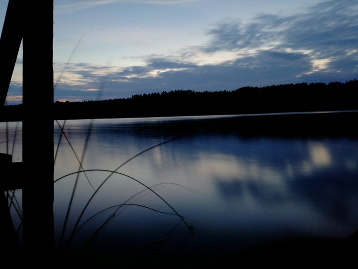 bild der Woche