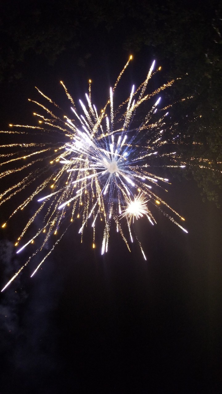 Blue and Gold Fireworks