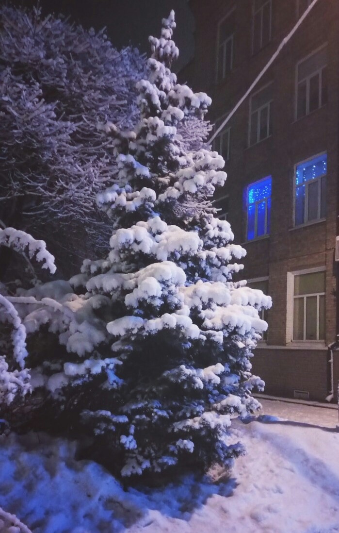White Christmas