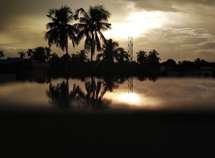 REFLECTION