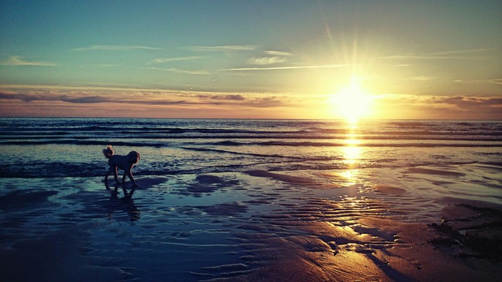 Sylt
