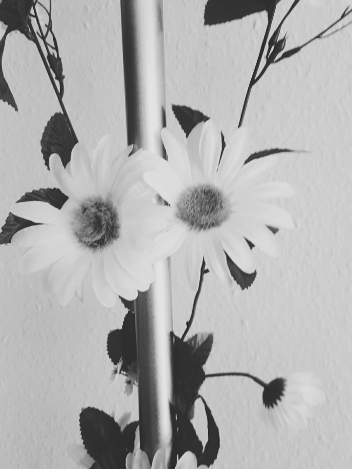 Monochrome; Flowers on lamp