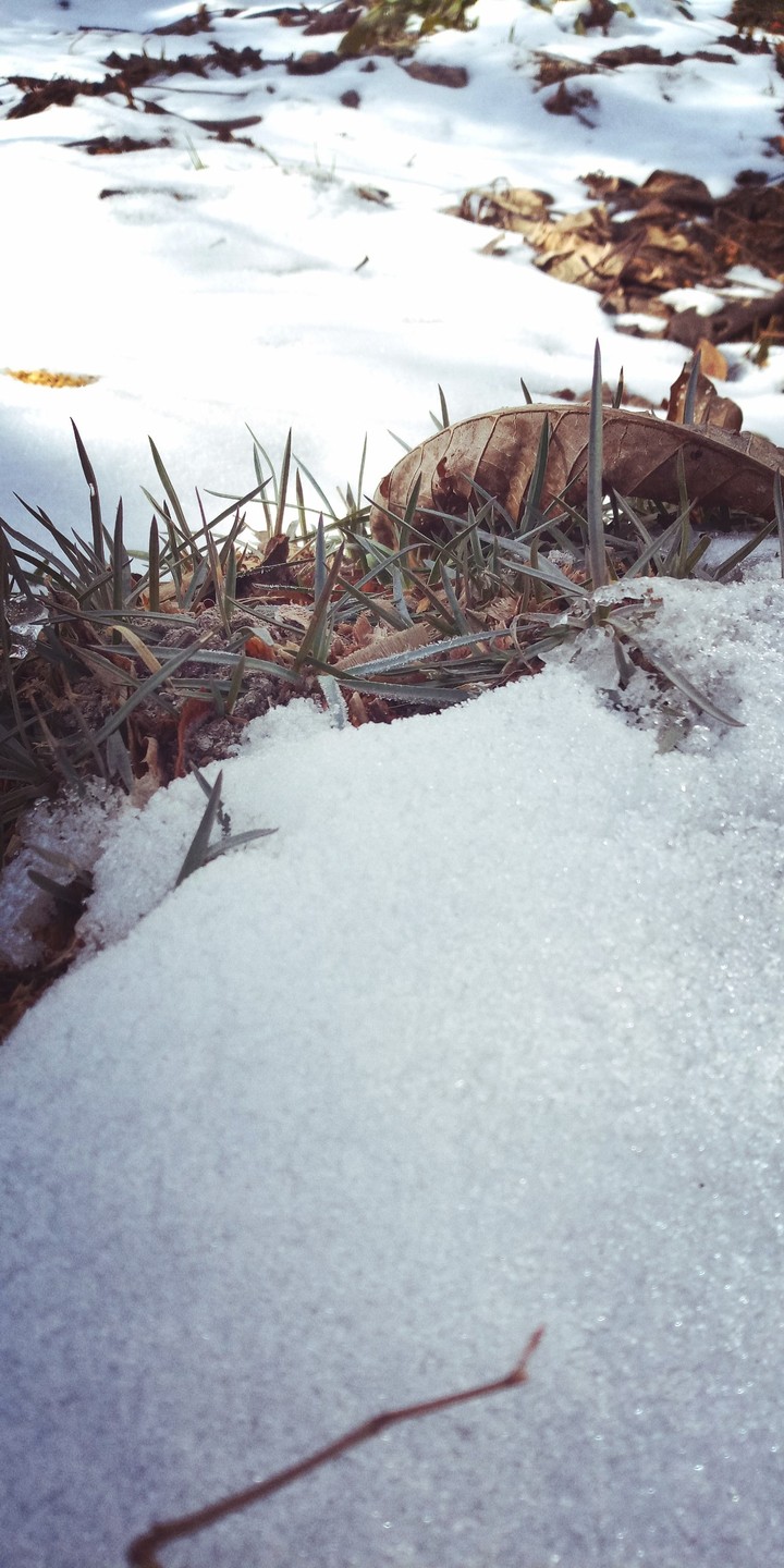 #snow