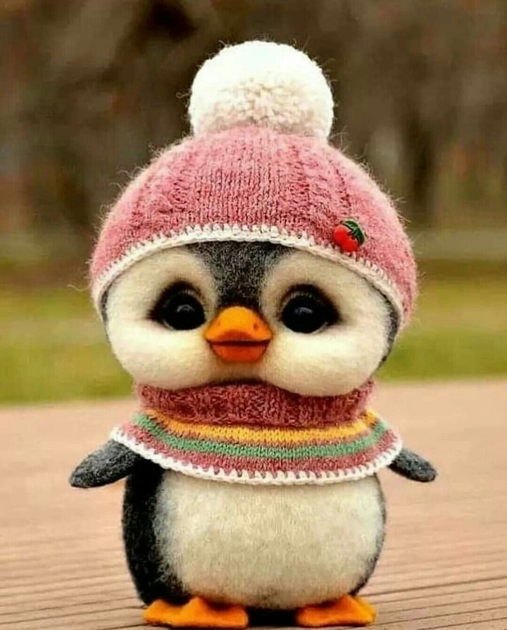 penguin ?