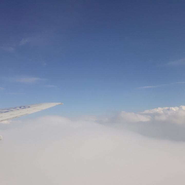 ✈