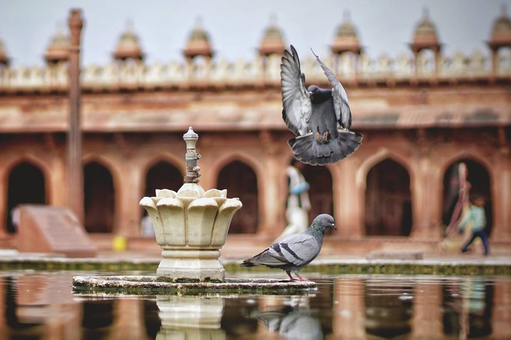 taj mahal