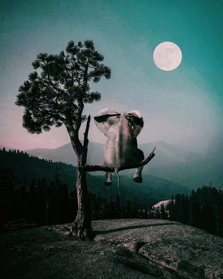 ..
