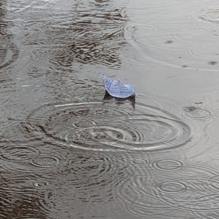 #paperboat