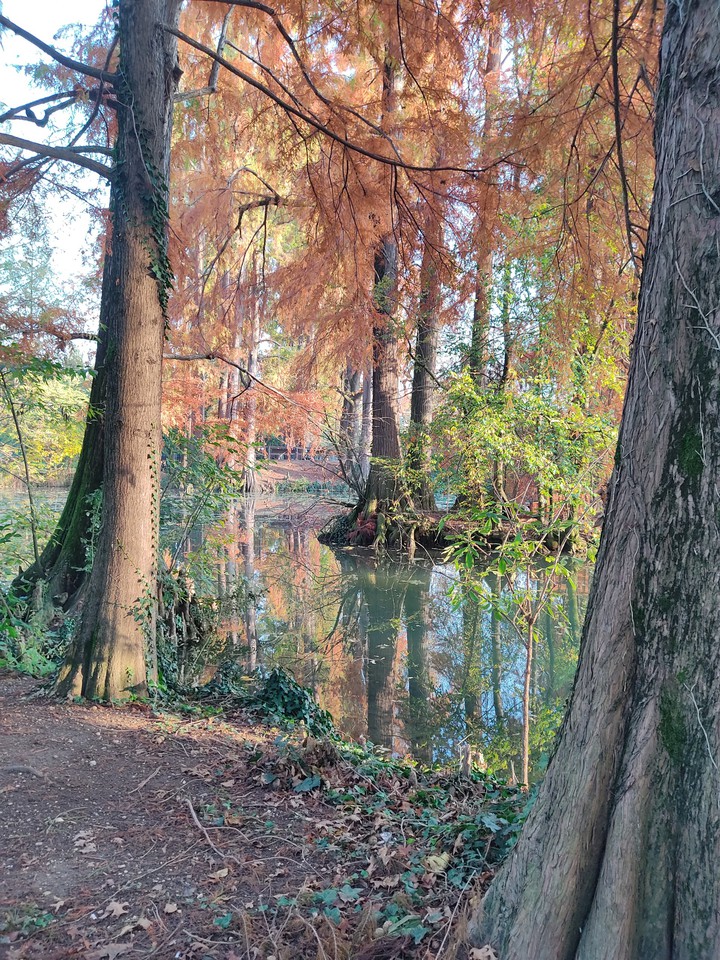 Autumn