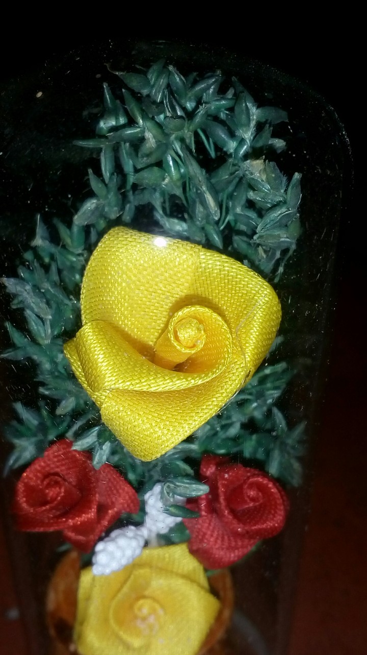 The beauty of yellow.