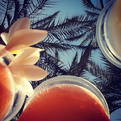 My paradise