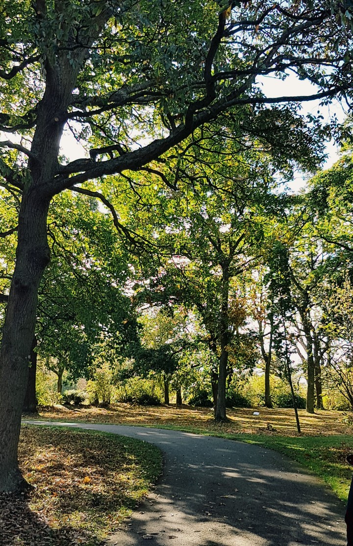Park walk
