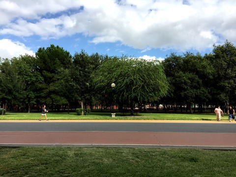 Parque