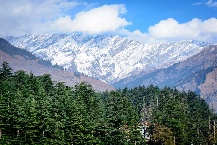 The himalayan view