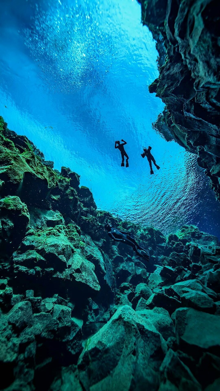 Ocean