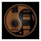 Acoustic Electric Guitar