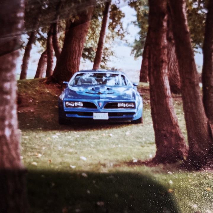 dc7800 - - - My 76 TransAm