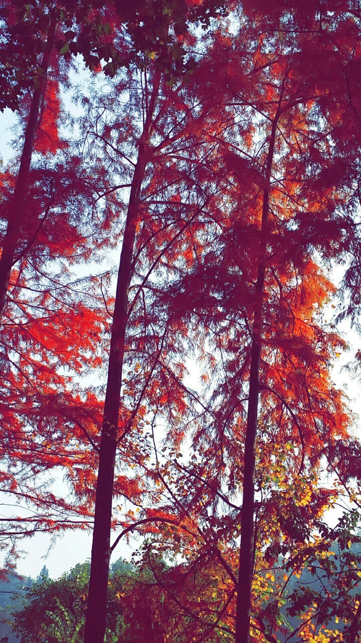 autumn by me