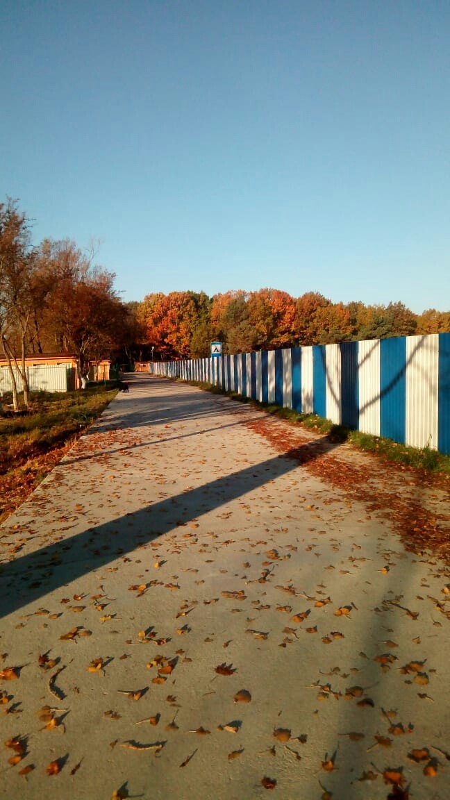 Осень