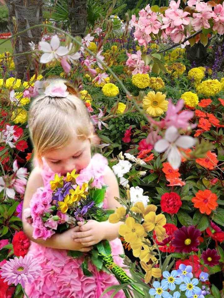 flowers and beauty in nature