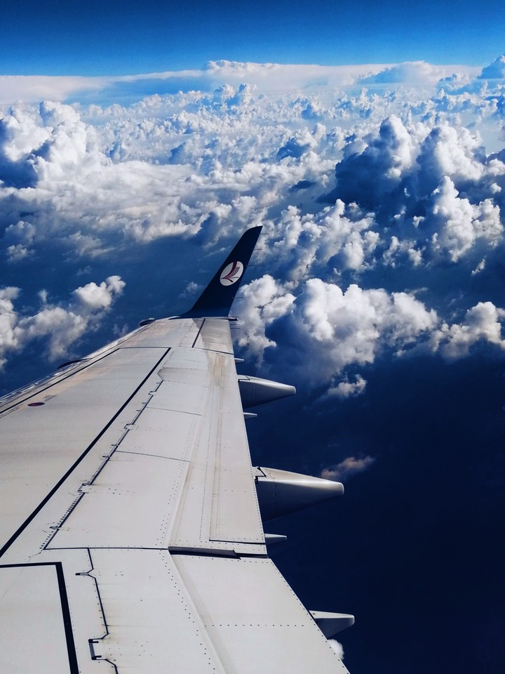 fly high