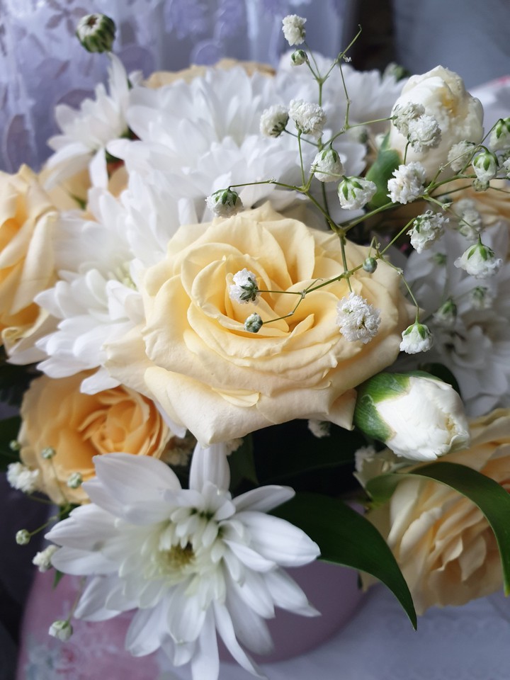 flower
