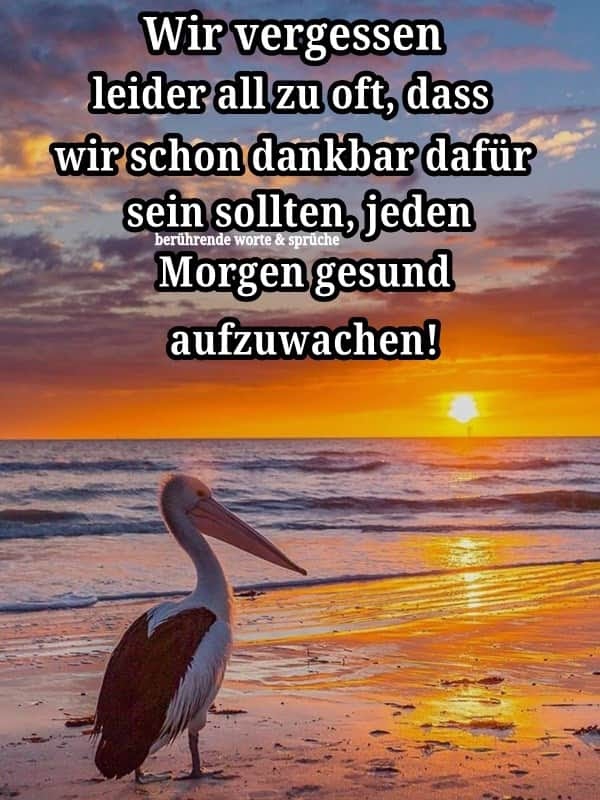 Dankeschön für diesen Morgen❤❤❤