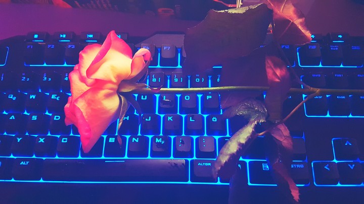 gaming 