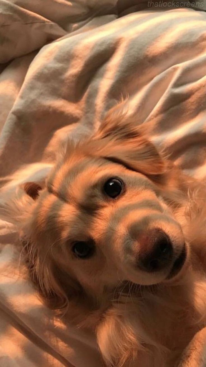 ??