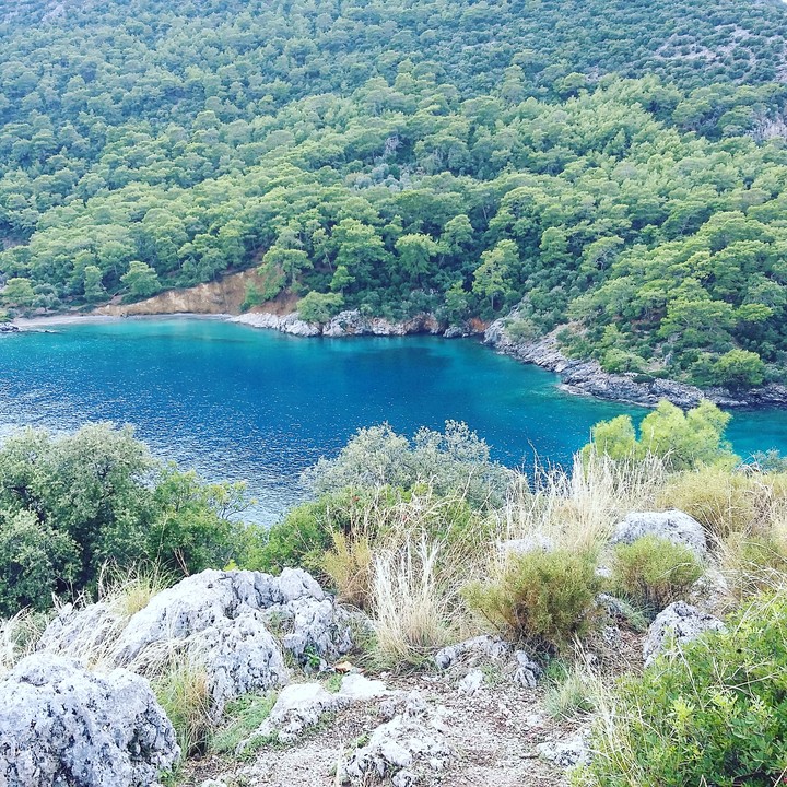 gemiler koy