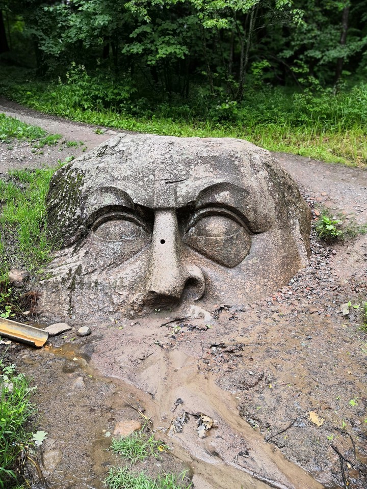 Head