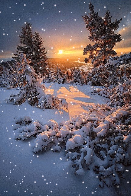 Winter sunset