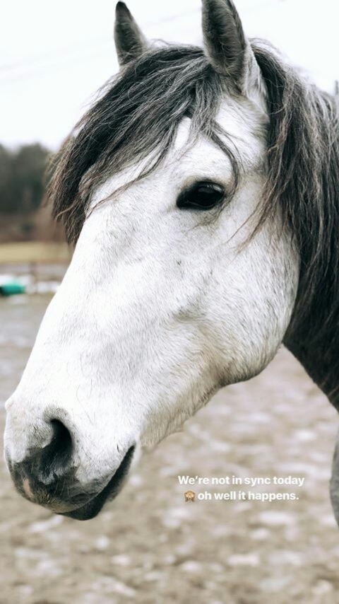 if you like thit foto 
