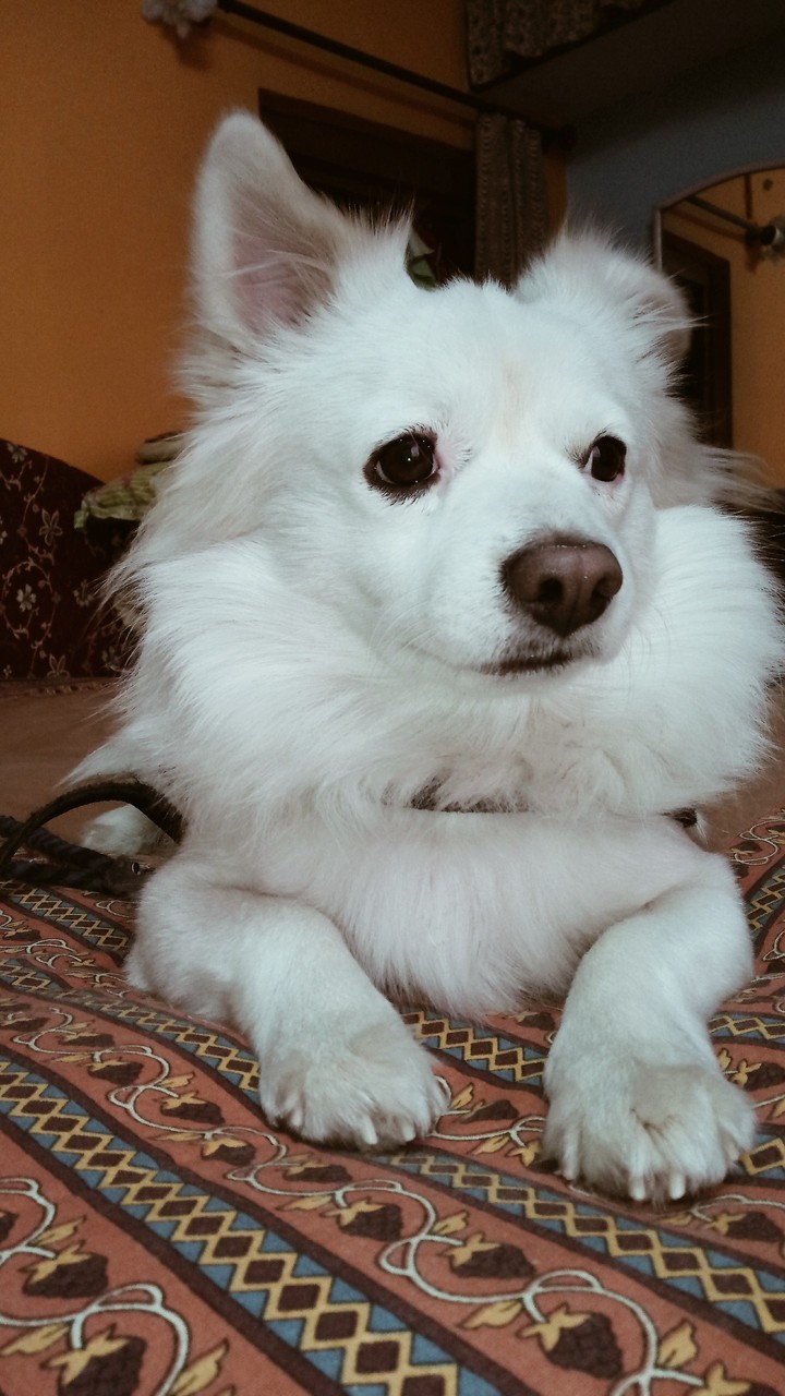 cuteness