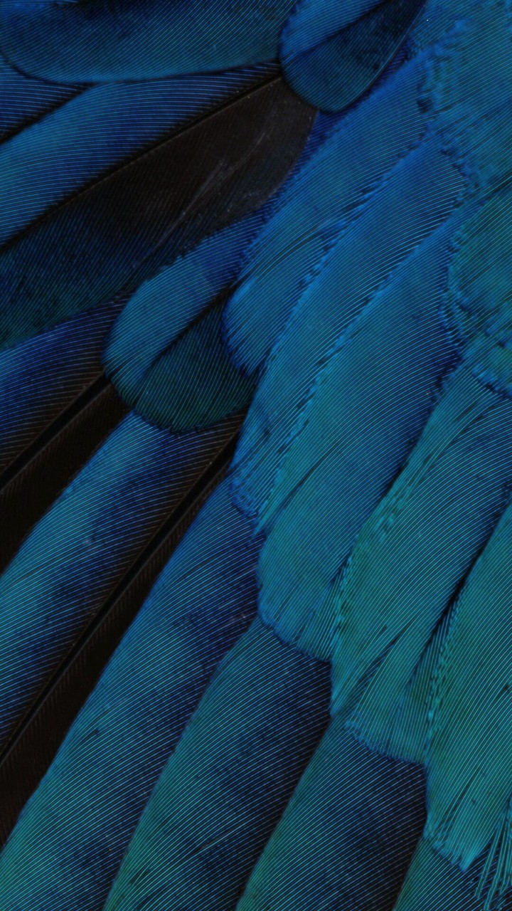 гг