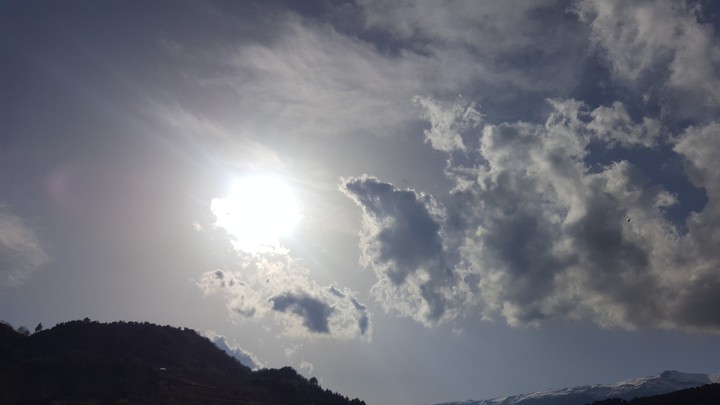 sunny