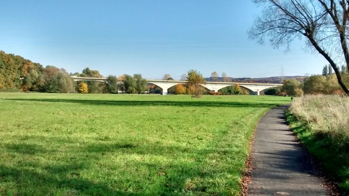 die Rheinlandschaft