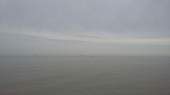 seamamoets in the fogg