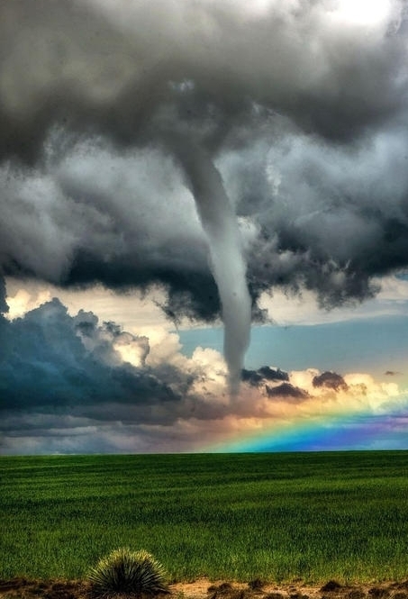 rainbow