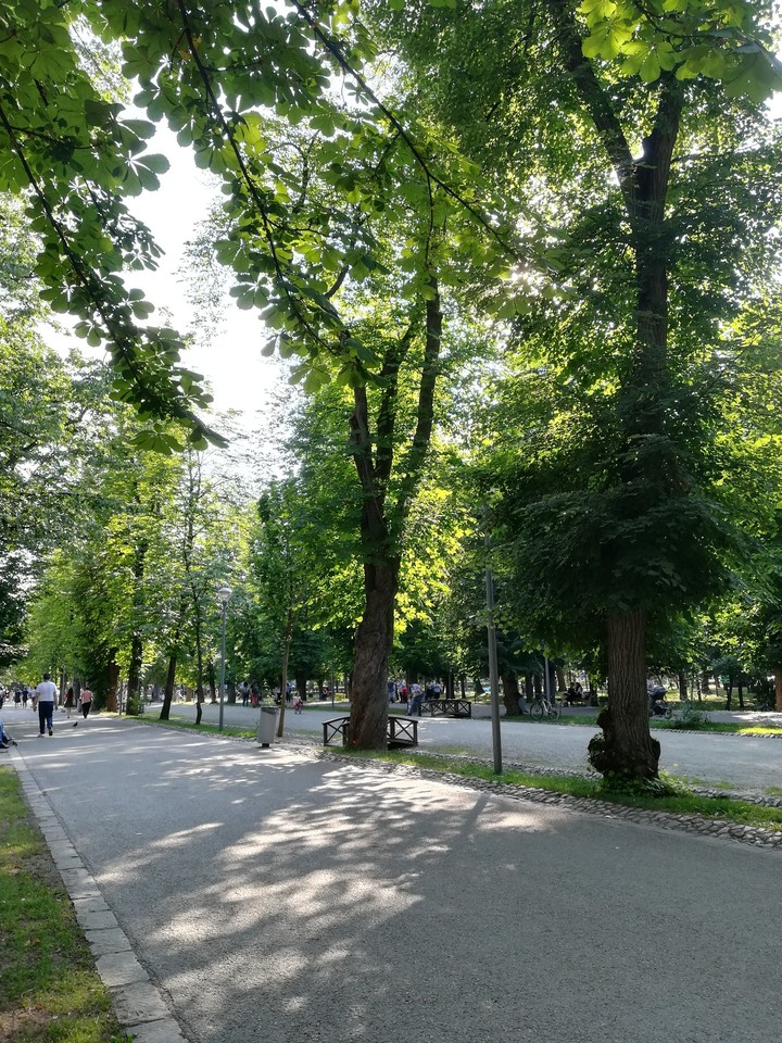 Cluj-Napoca. Central Park