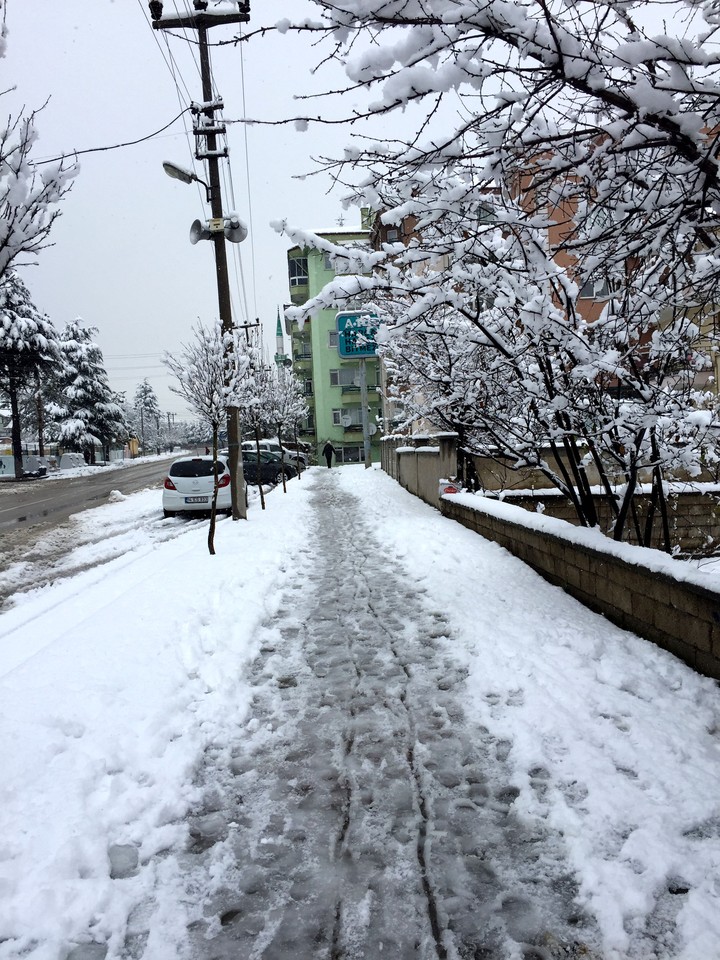 Winter