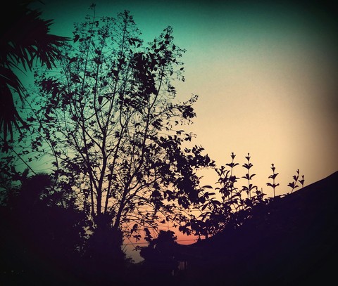 wonderful and peaceful evening