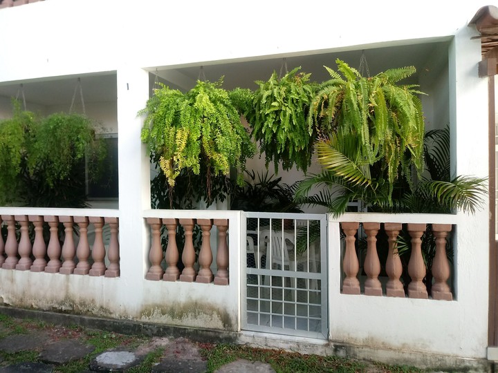 lil house